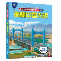揭秘中國大橋